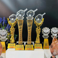 Cúp kỷ niệm chương pha lê Pickleball - PK001 0