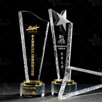 Kỷ niệm chương Pha lê KNC-PL031