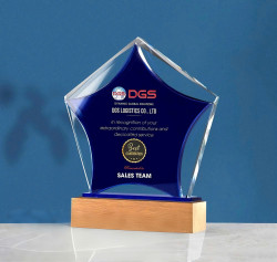 Kỷ niệm chương pha lê đế gỗ PLG012