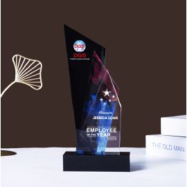 Kỷ niệm chương pha lê PL066