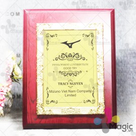 Kỷ niệm chương Gỗ Đồng KNC-GD002