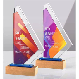 Kỷ niệm chương pha lê đế gỗ PLG001