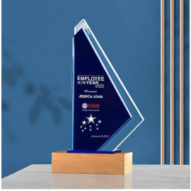 Kỷ niệm chương pha lê đế gỗ PLG003