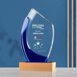 Kỷ niệm chương pha lê đế gỗ PLG004