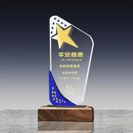 Kỷ niệm chương pha lê đế gỗ PLG006