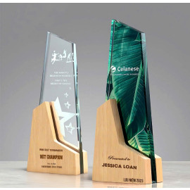 Kỷ niệm chương pha lê đế gỗ PLG008