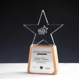 Kỷ niệm chương pha lê đế gỗ PLG011 